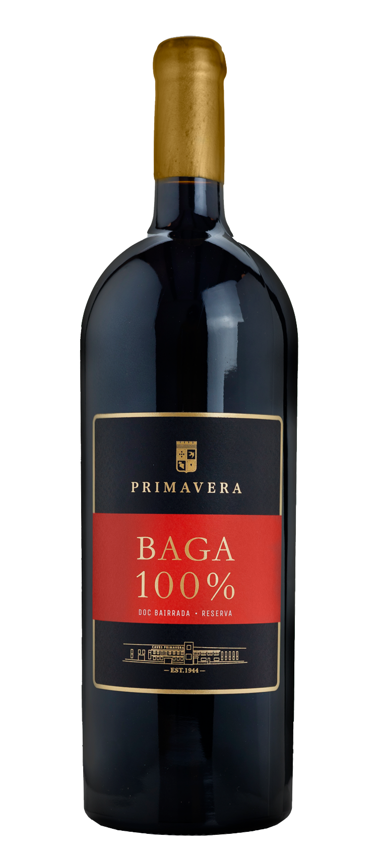 vinho-tinto-bairrada-primavera-baga-100-reserva-magnum