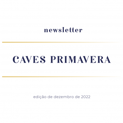 newsletter-dezembro