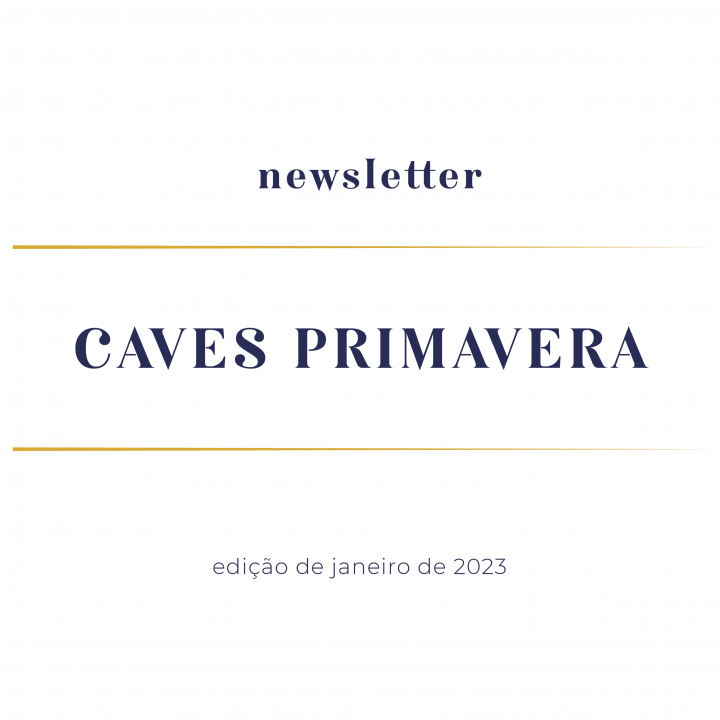 newsletter-janeiro-2023