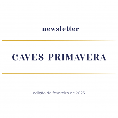 newsletter-fevereiro-2023
