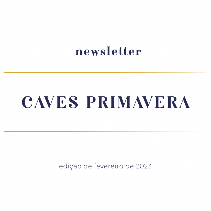 newsletter-fevereiro-2023