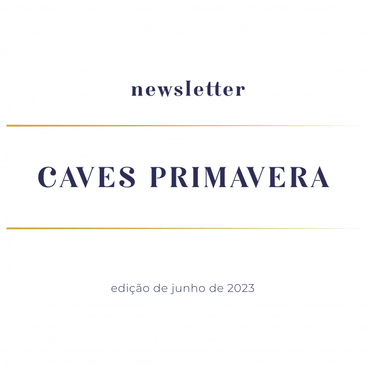 newsletter-junho-2023