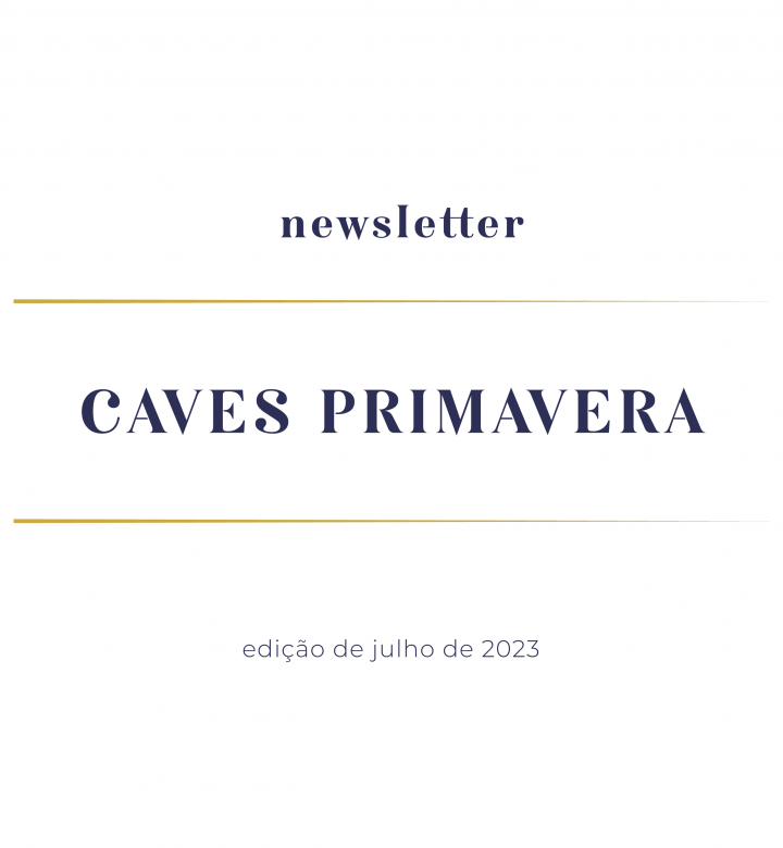 newsletter-julho-2023