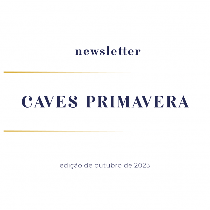 newsletter-outubro-2023